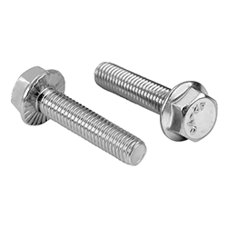 SS Hex Flange Bolts